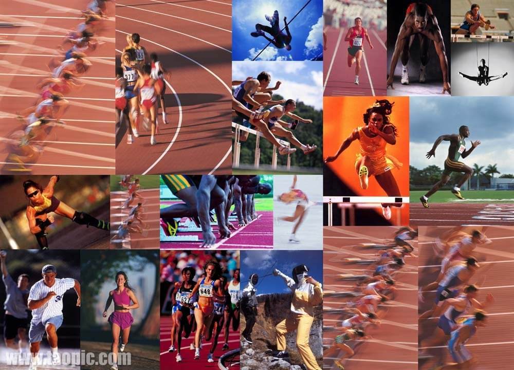 则是球队的 则是球队的