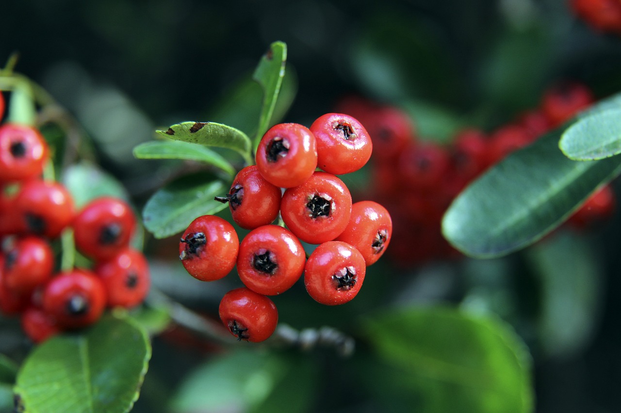 队总教练刘 队总教练刘