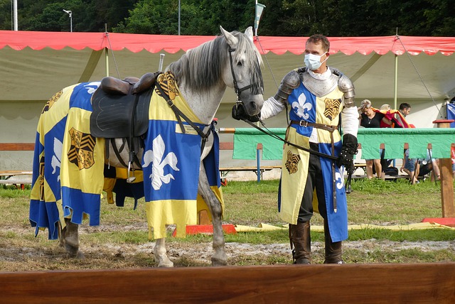 比赛中的态 比赛中的态