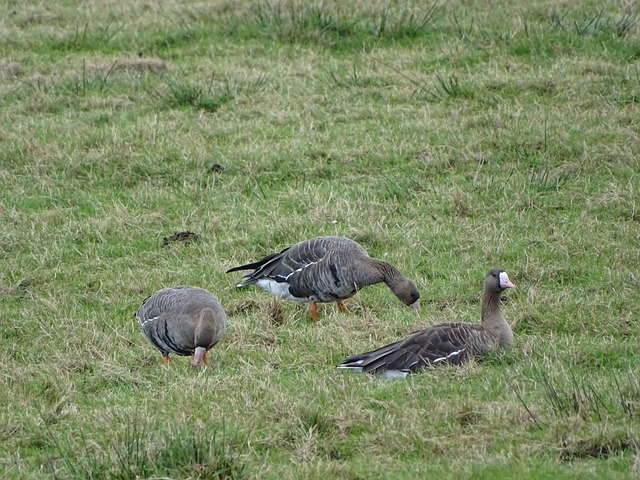 而这些成功 而这些成功